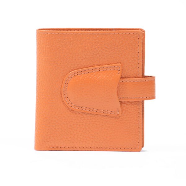 Shelly Wallet