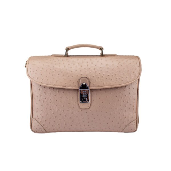 Portafolio Tommy