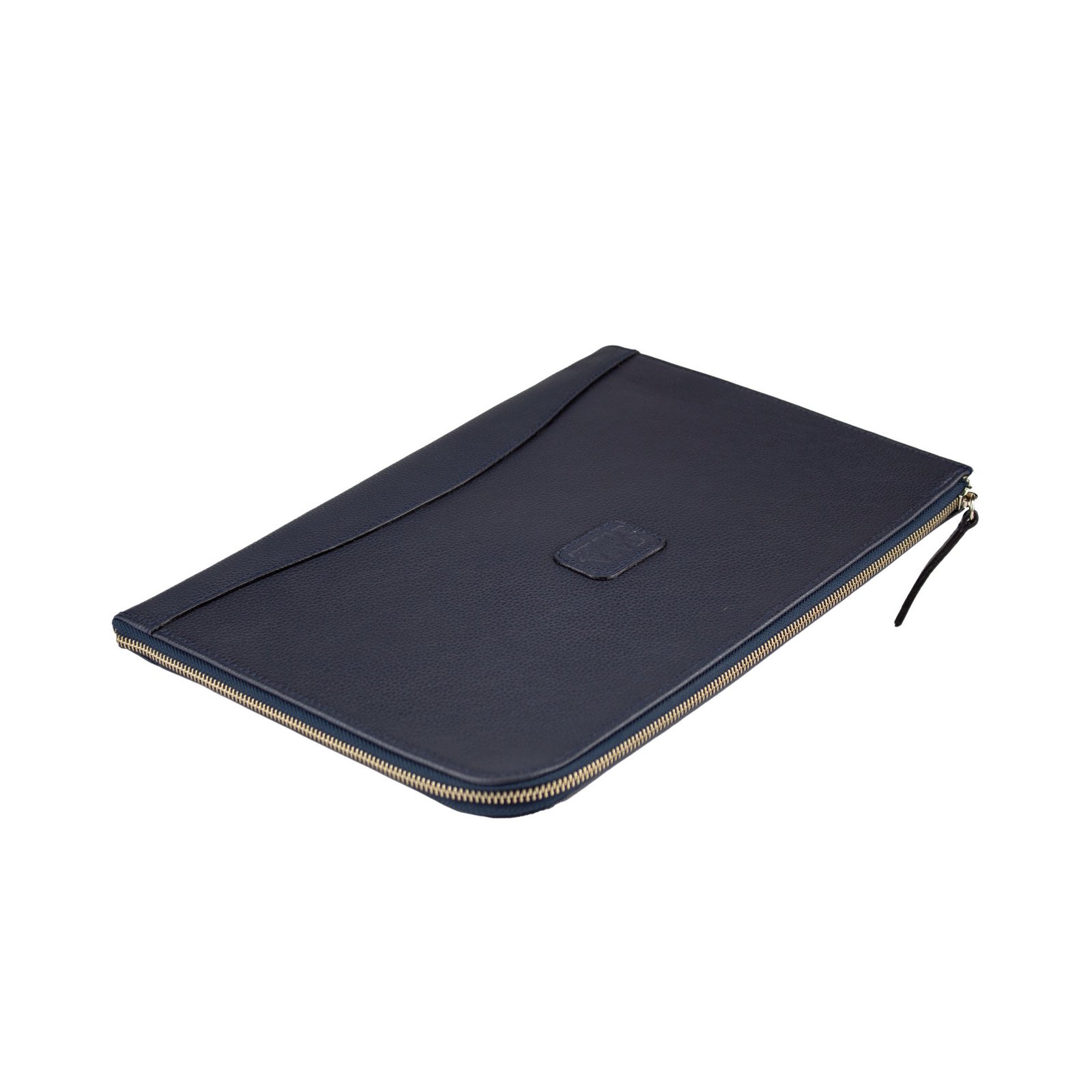 Lenin Portfolio - Blue